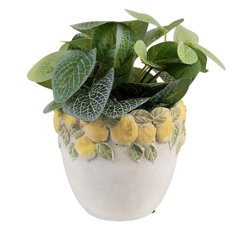- productfoto Noby's Kadoshop