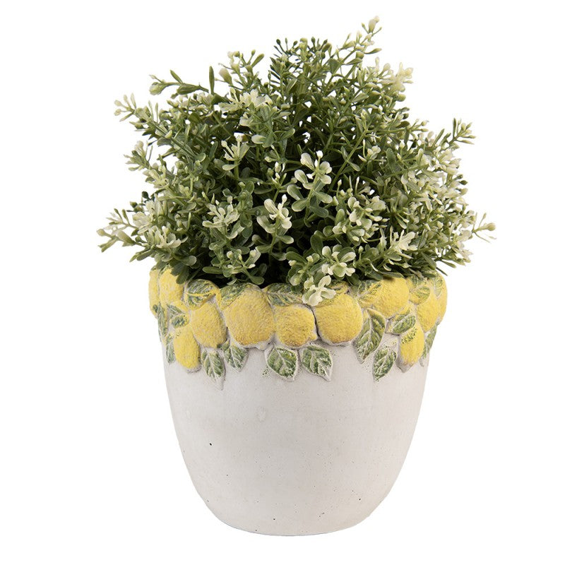 - productfoto Noby's Kadoshop