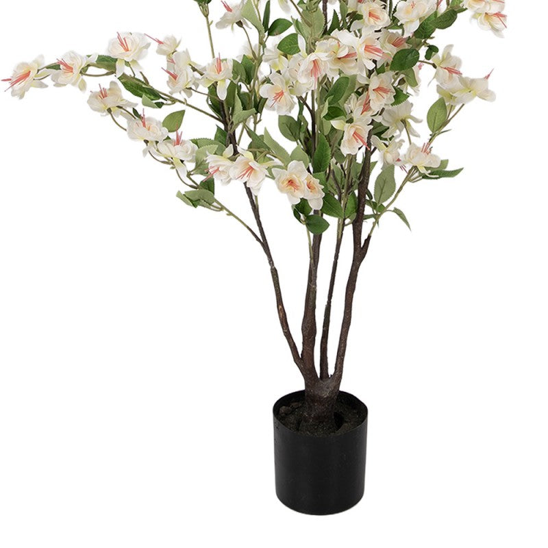 - productfoto Noby's Kadoshop