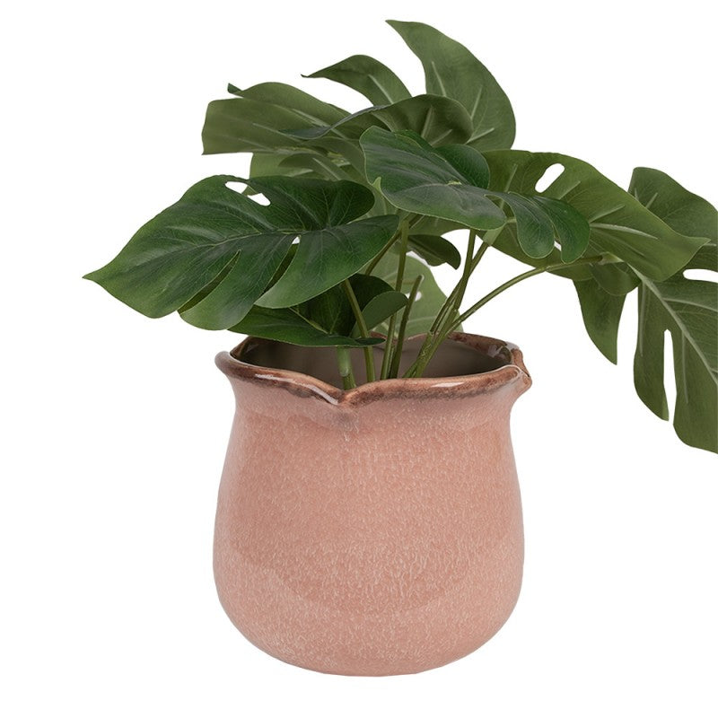 - productfoto Noby's Kadoshop