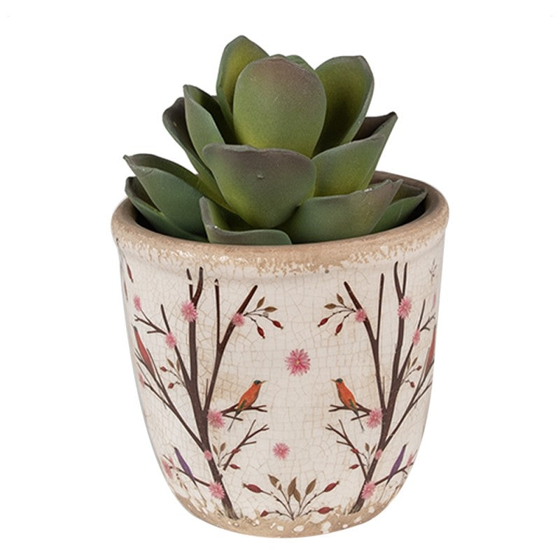 - productfoto Noby's Kadoshop
