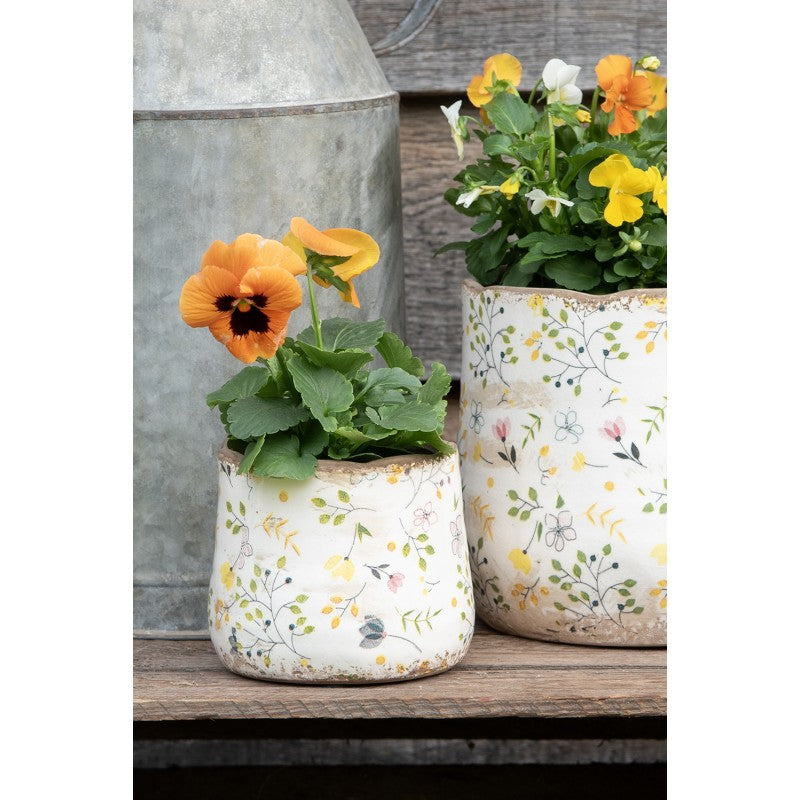 - productfoto Noby's Kadoshop