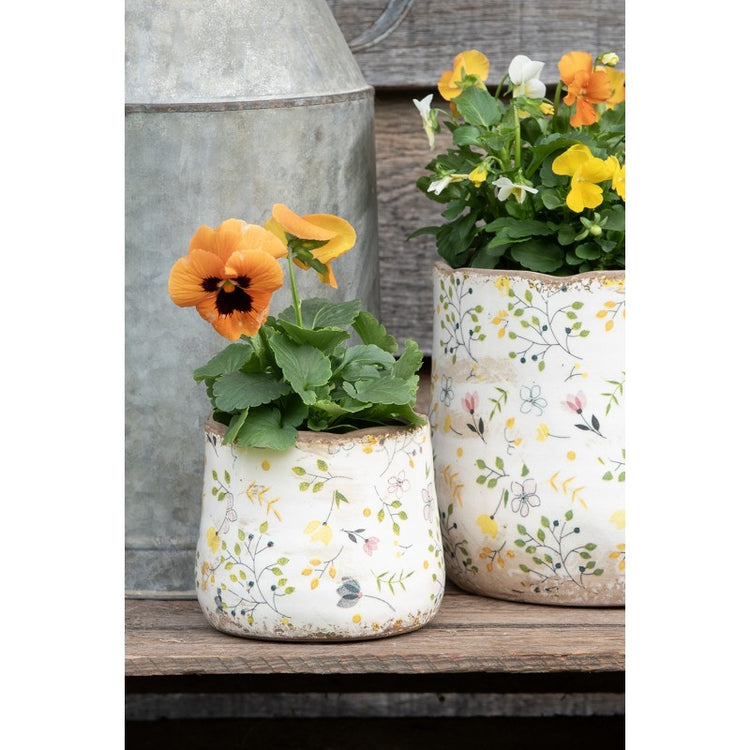 - productfoto Noby's Kadoshop