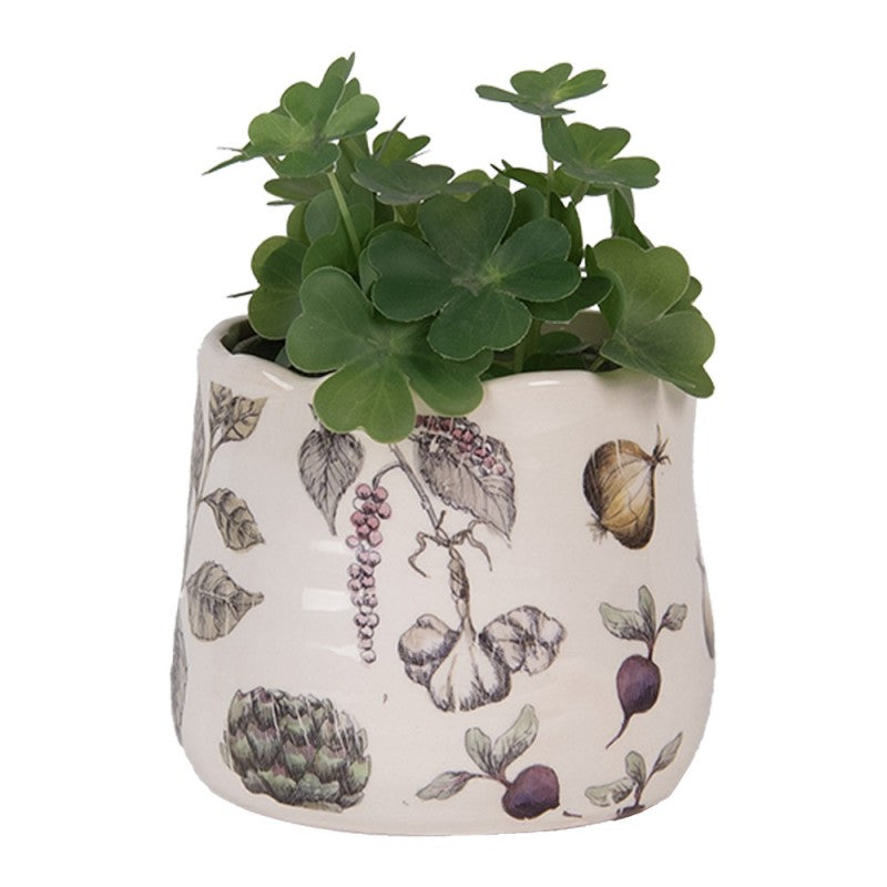 - productfoto Noby's Kadoshop