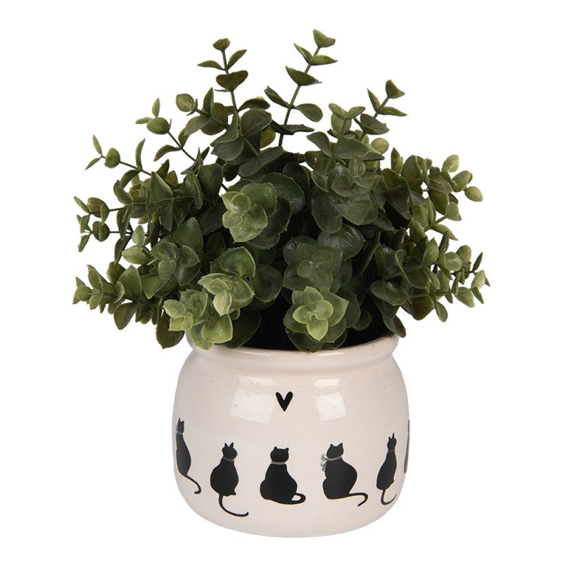 - productfoto Noby's Kadoshop