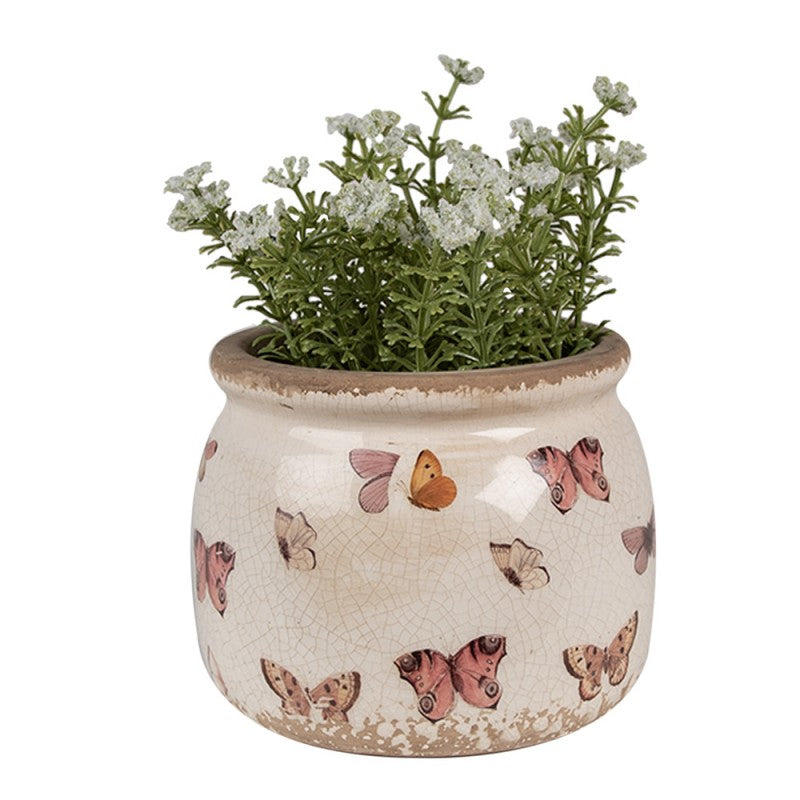 - productfoto Noby's Kadoshop