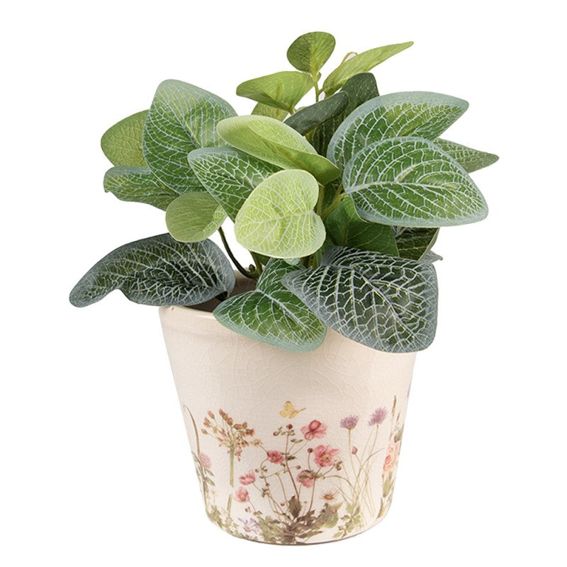 - productfoto Noby's Kadoshop