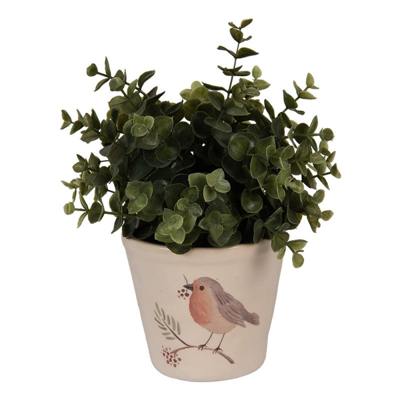 - productfoto Noby's Kadoshop