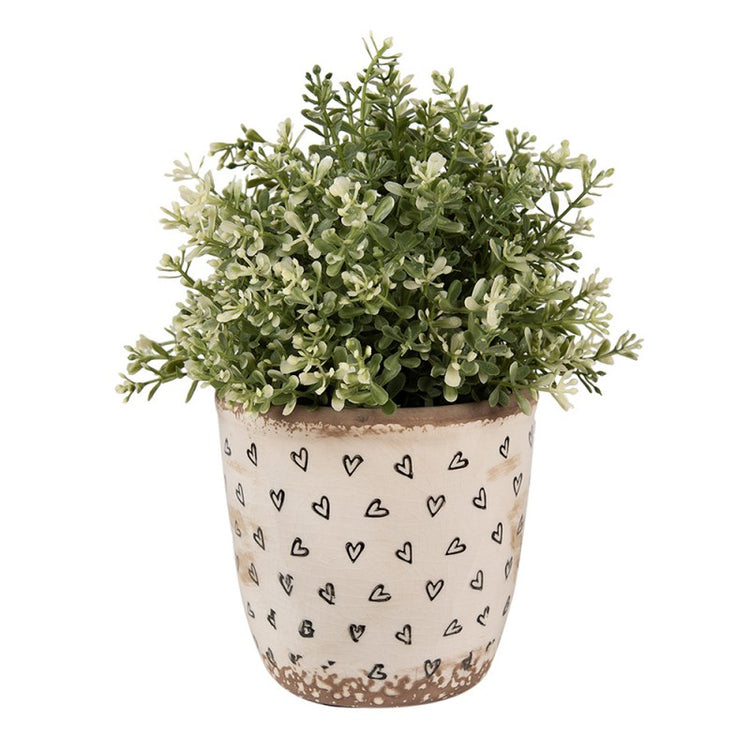 - productfoto Noby's Kadoshop