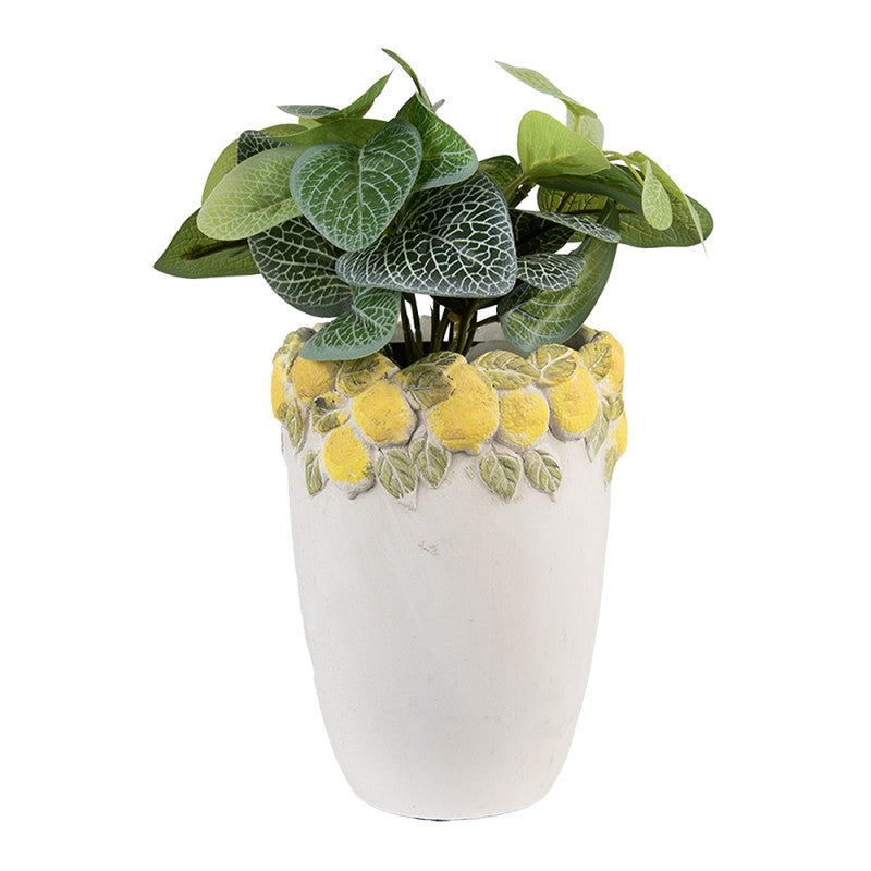 - productfoto Noby's Kadoshop