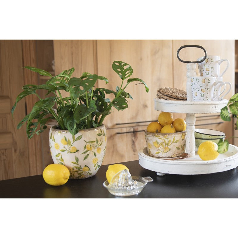 - productfoto Noby's Kadoshop