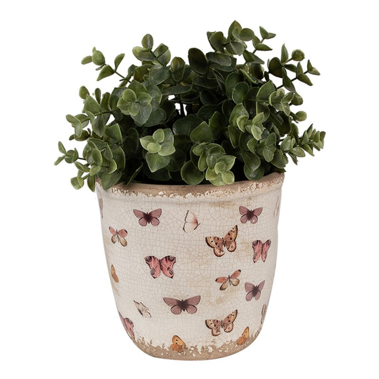 - productfoto Noby's Kadoshop