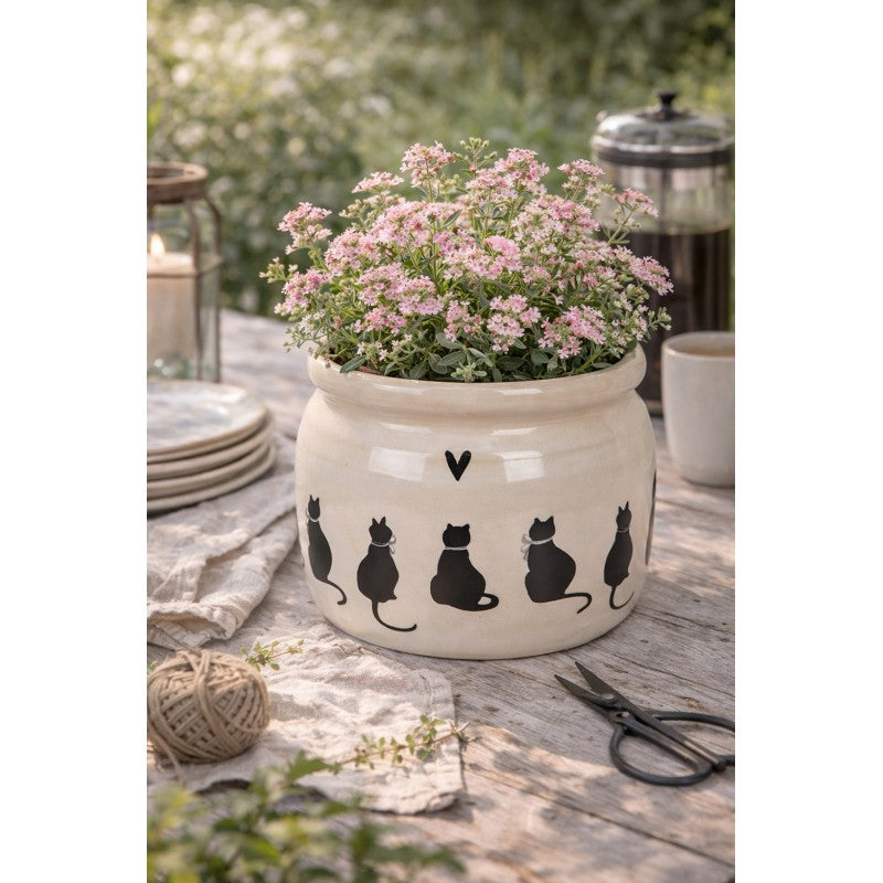 - productfoto Noby's Kadoshop