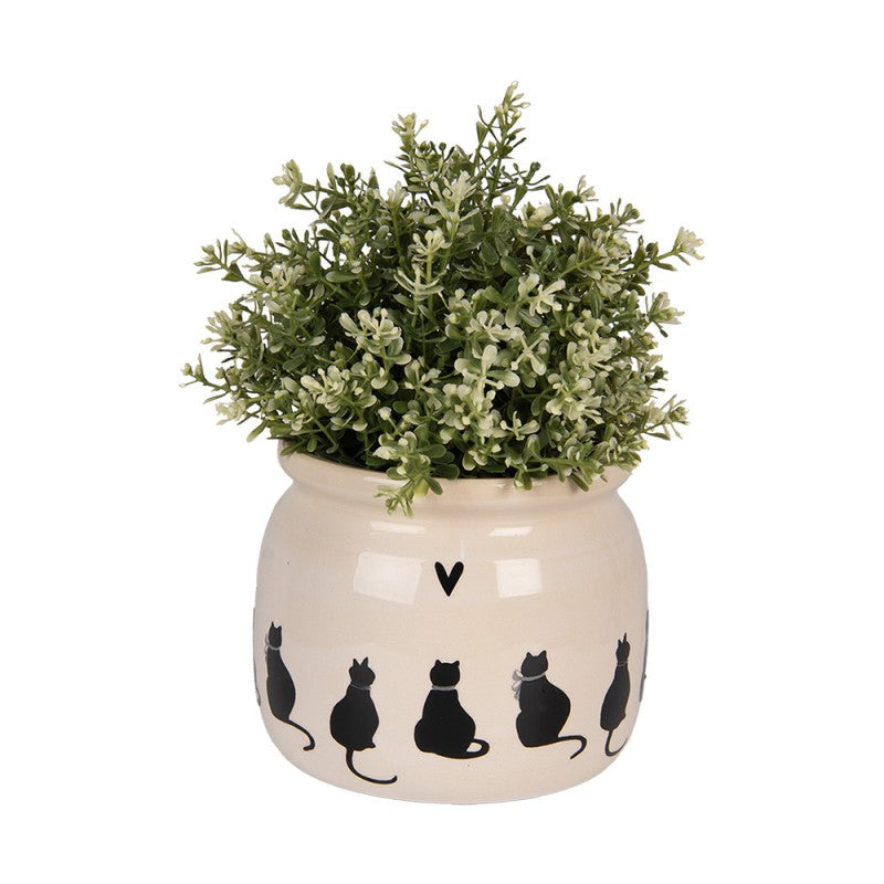 - productfoto Noby's Kadoshop