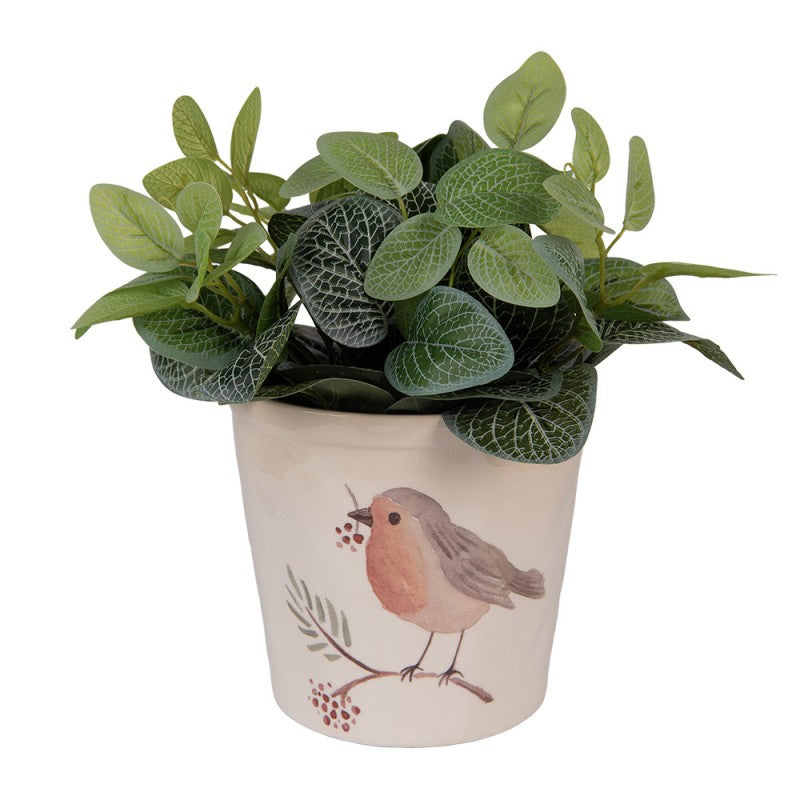 - productfoto Noby's Kadoshop
