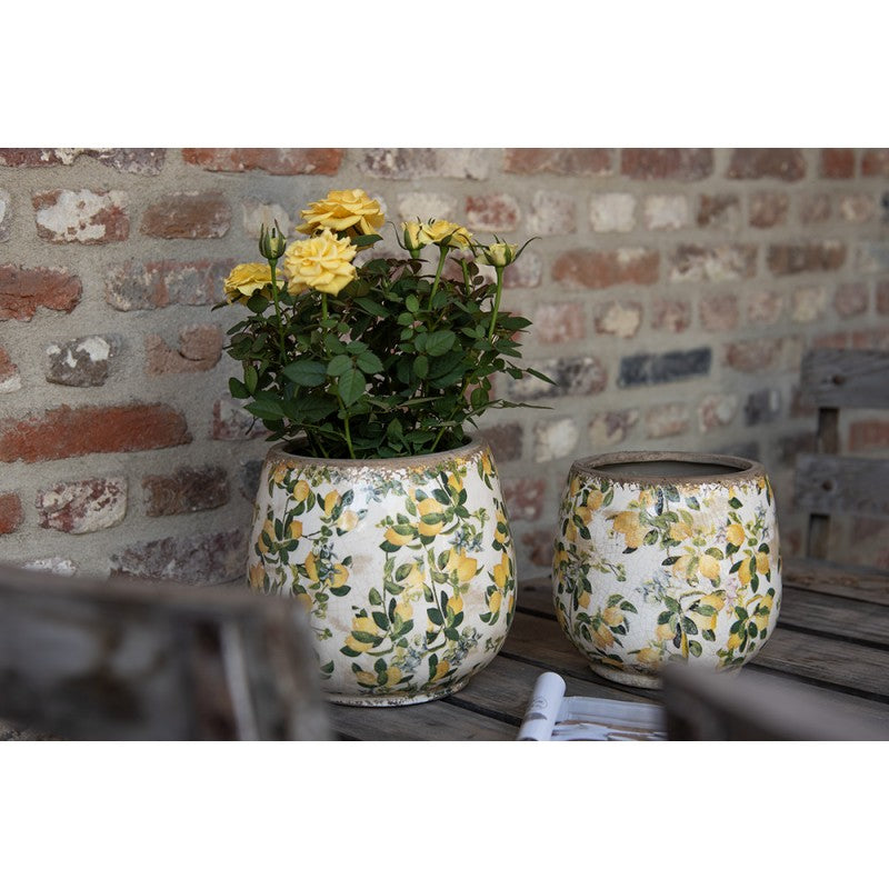 - productfoto Noby's Kadoshop