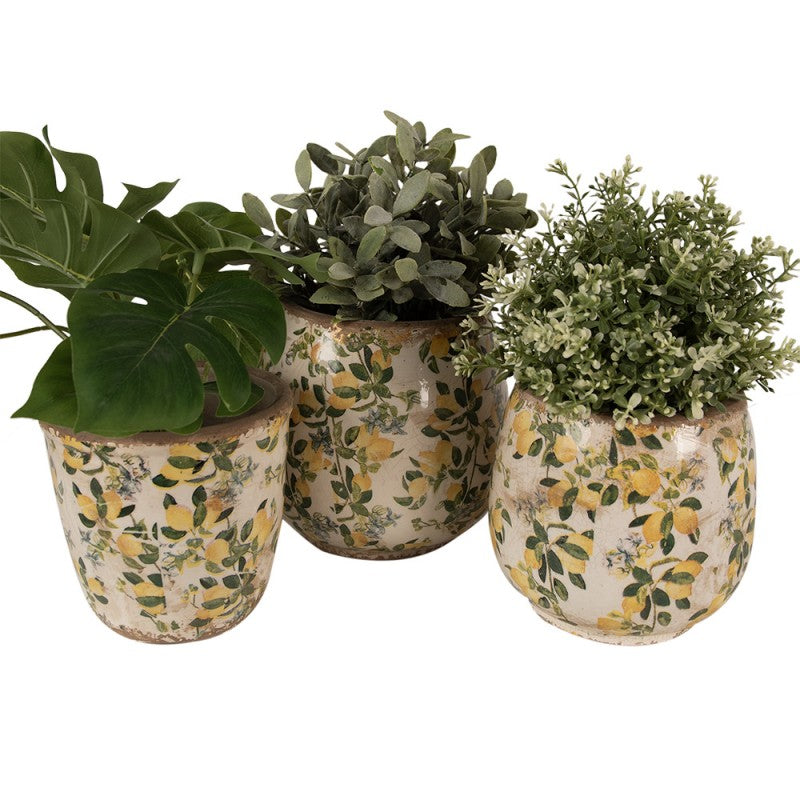 - productfoto Noby's Kadoshop
