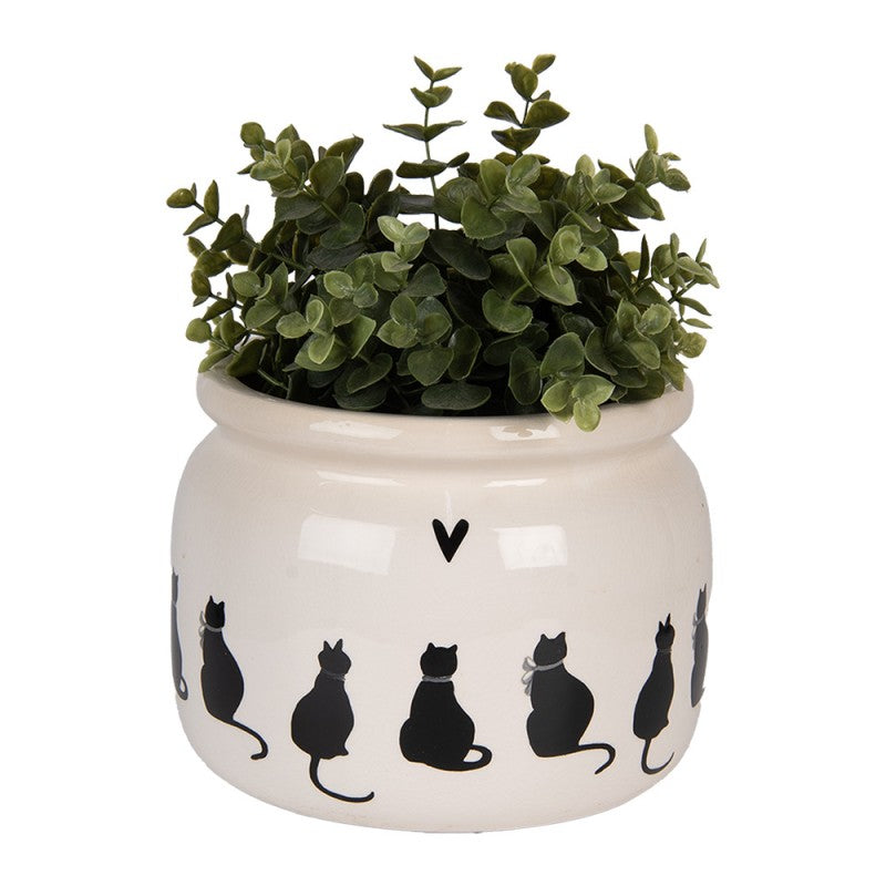 - productfoto Noby's Kadoshop