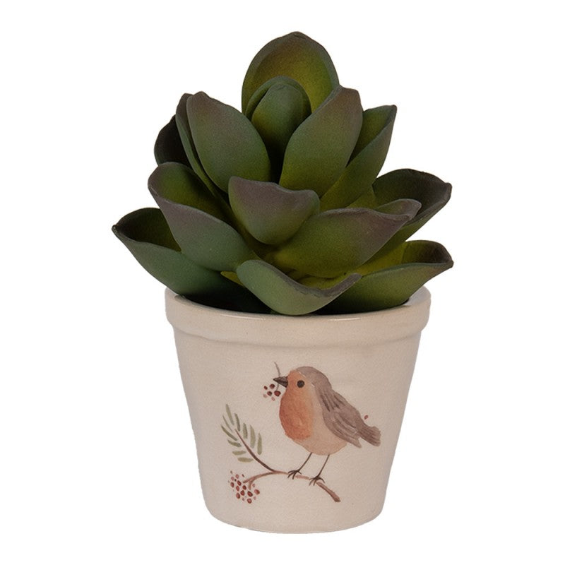 - productfoto Noby's Kadoshop