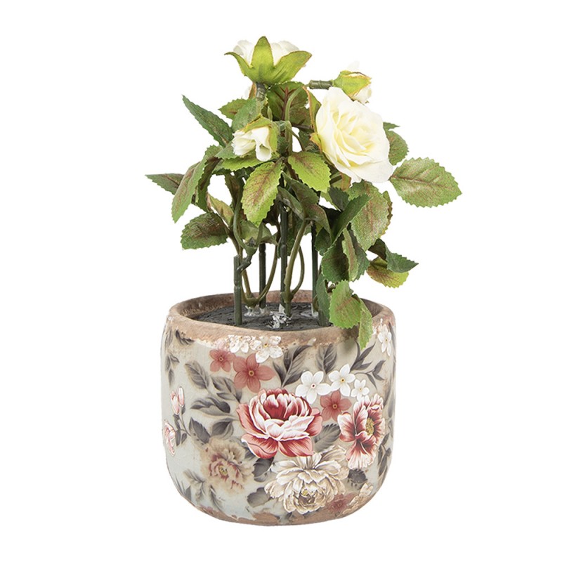 - productfoto Noby's Kadoshop