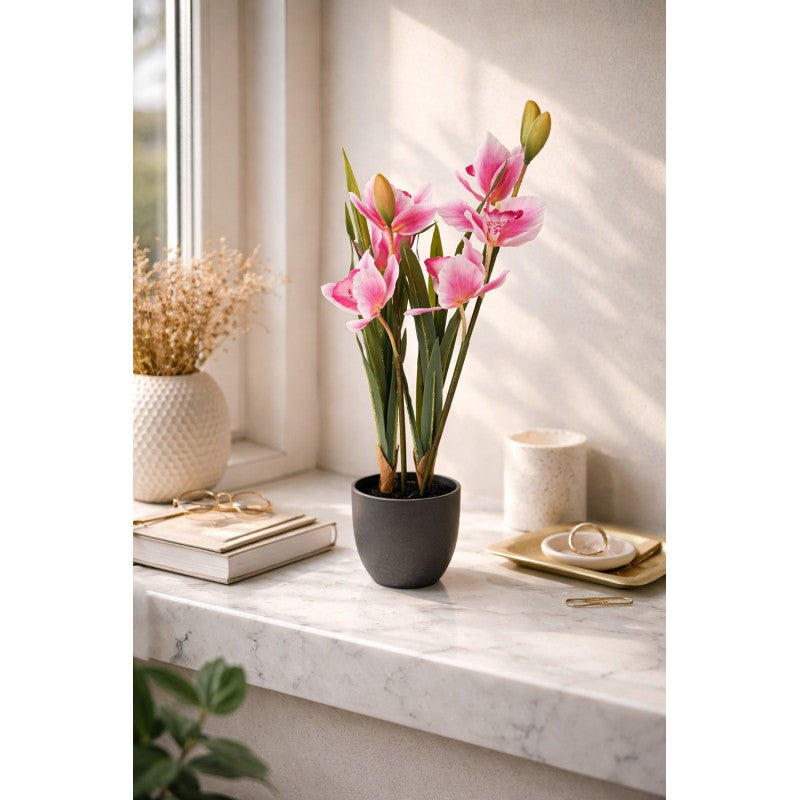- productfoto Noby's Kadoshop