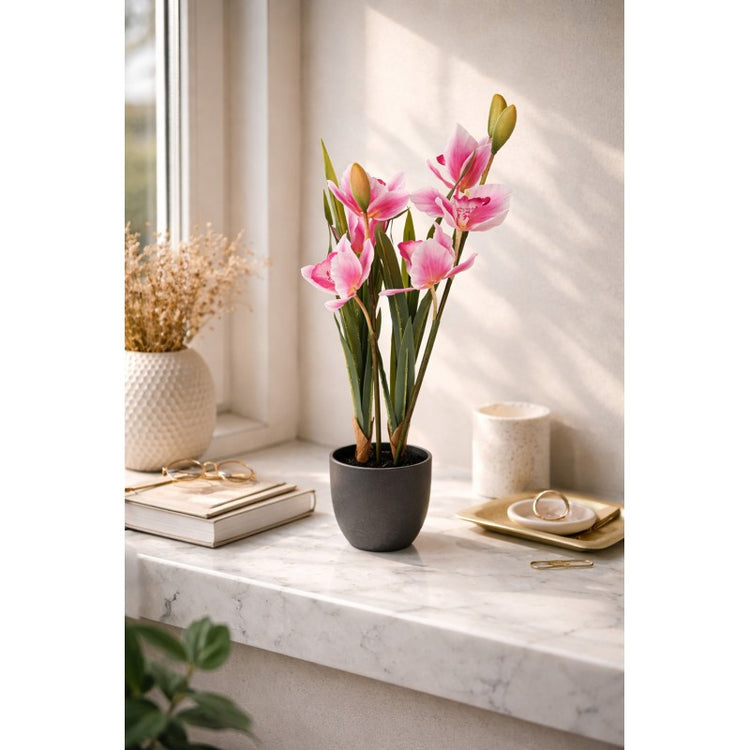 - productfoto Noby's Kadoshop