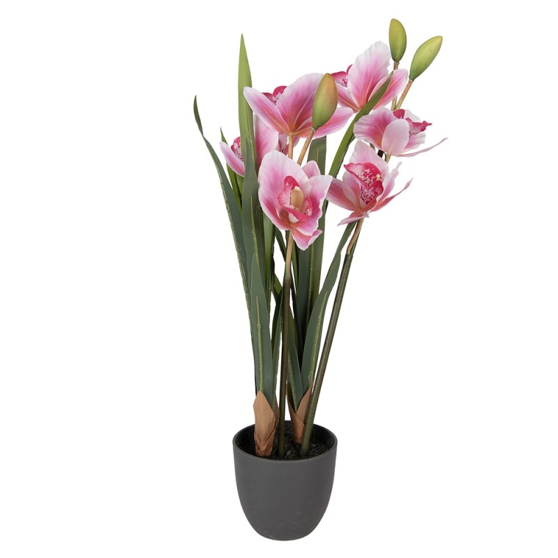 - productfoto Noby's Kadoshop