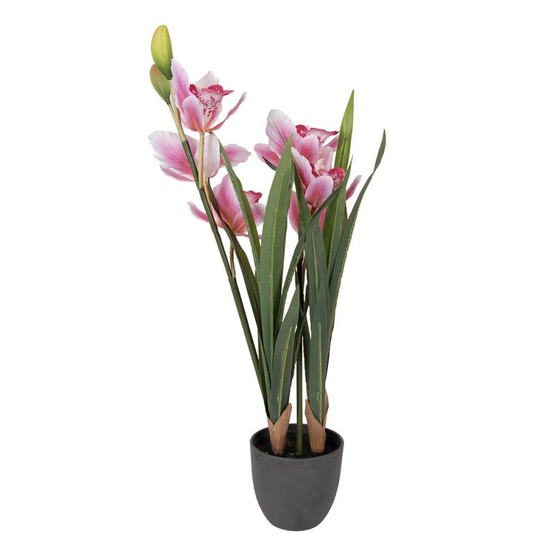 - productfoto Noby's Kadoshop